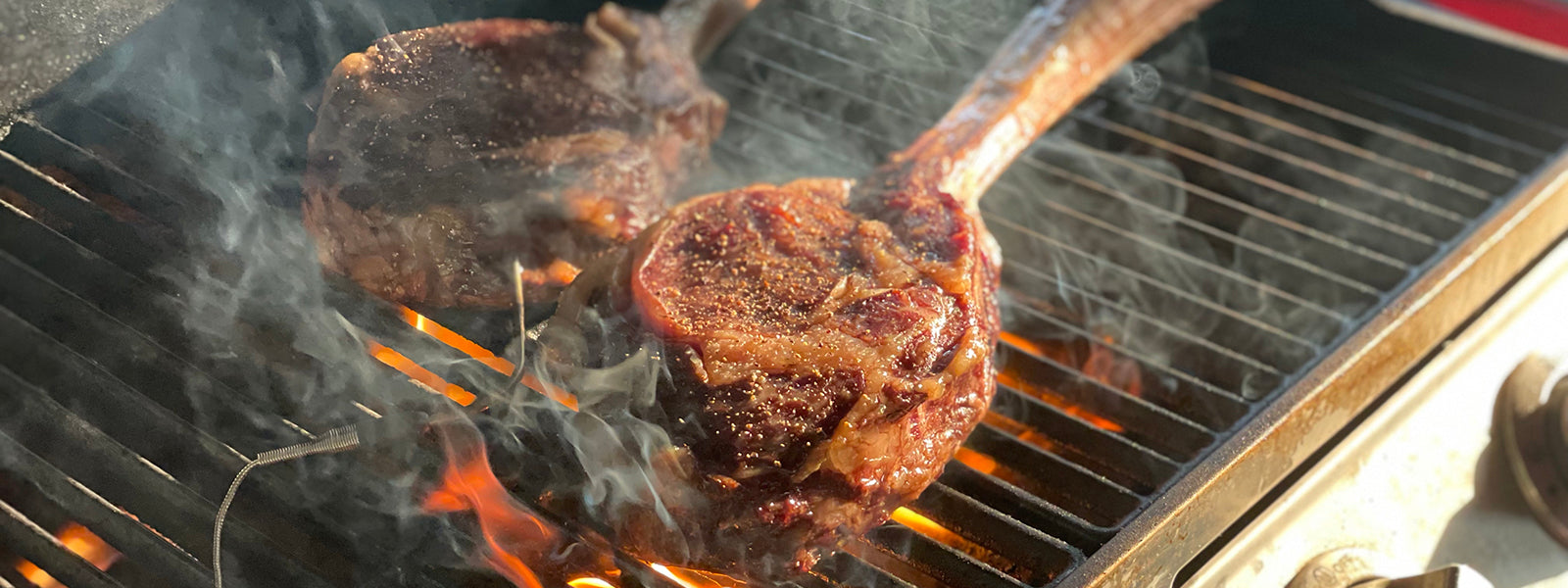 Grill Seekers