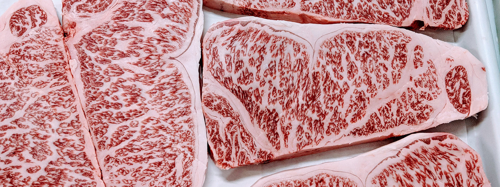 Japanese A5 Wagyu Highlights : Kobe Wagyu & Takamori Drunken Wagyu